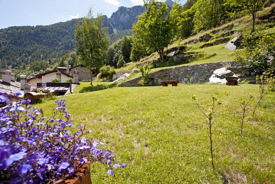 B&B A Pankeo Valtournenche Exterior foto